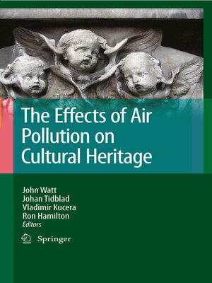 cover image of The Effects of Air Pollution on Cultural Heritage
